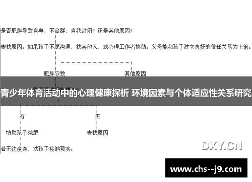 青少年体育活动中的心理健康探析 环境因素与个体适应性关系研究 青少年体育活动中的心理健康探析 环境因素与个体适应性关系研究