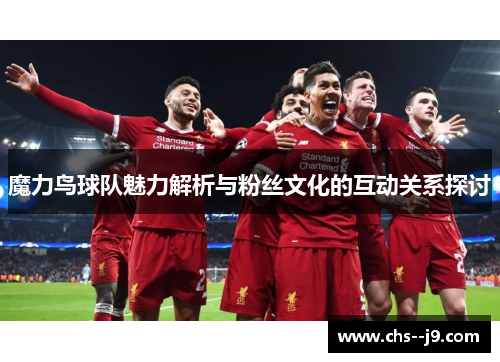 魔力鸟球队魅力解析与粉丝文化的互动关系探讨