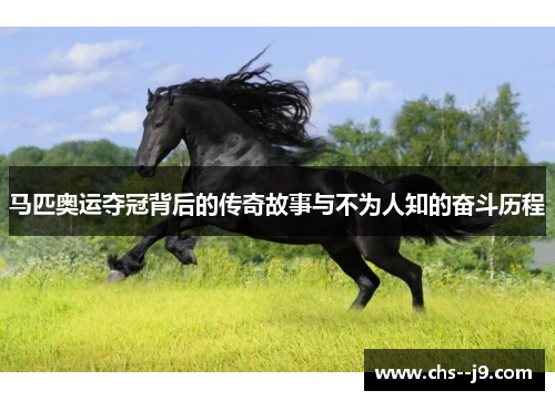 马匹奥运夺冠背后的传奇故事与不为人知的奋斗历程